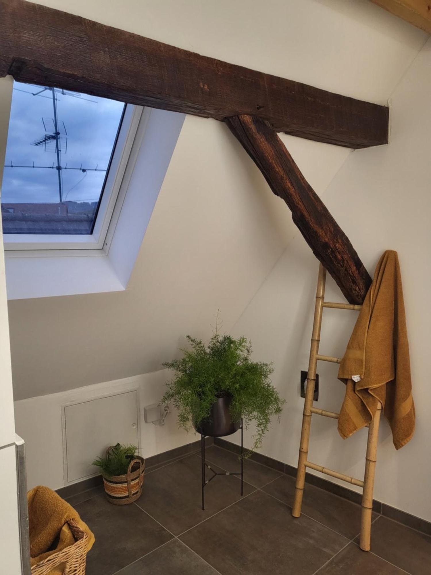 Ferienwohnung Im Rebstock Nr.1 Bahlingen  Екстериор снимка